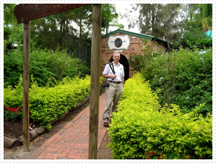 First of Many Cellar Doors