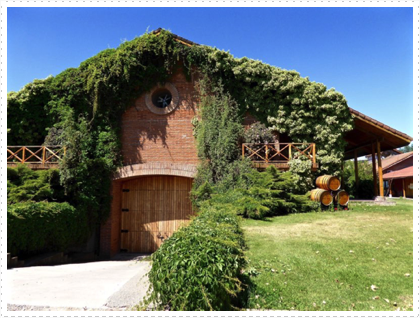 Miguel Torres Winery, Curic&oacute;, Maule, Chile