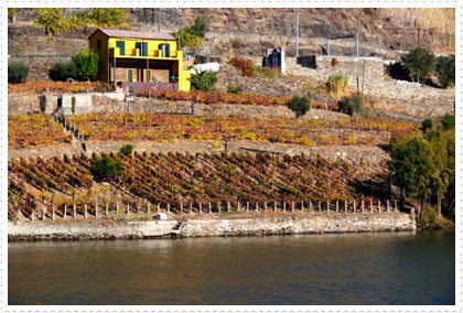 Autumn in the Douro Valley