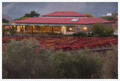 An evening wine tasting