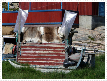 Seal Skins and a Sledge