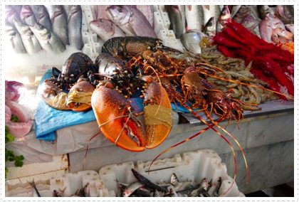 Casablanca seafood market