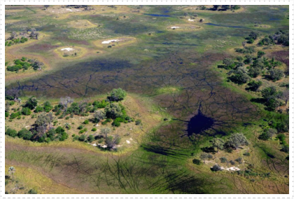 Flying to Stanley's Camp
